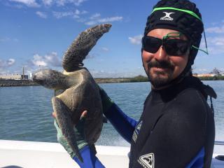Gidarjil Ranger Jacob Bulow participating in collaborative studies with the Department of Environment and Science to increase understanding of marine turtle populations. Photo: © Gidarjil Development Corporation