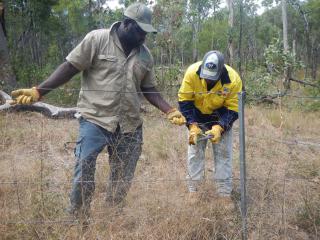 Eastern Yalanji Rangers repairing a stock exclusion fence. Photo: © Yalanji Aboriginal Corporation