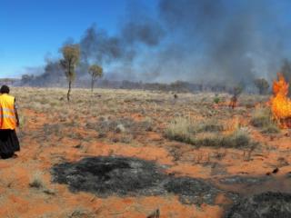 Patch burning old Tjanpi (Spinifex). Photo: © APY