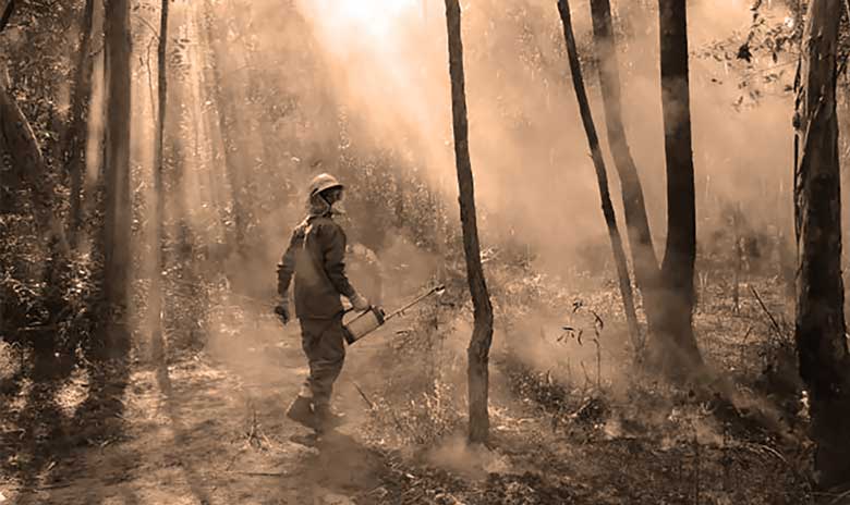 Jahnala Yenbalehla Ranger walking through smoky bush conducting a winter cultural burn
