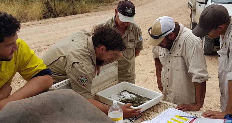 Four Queensland Murray-Darling Basin Rangers standing at the back of a ute conducting water sampling