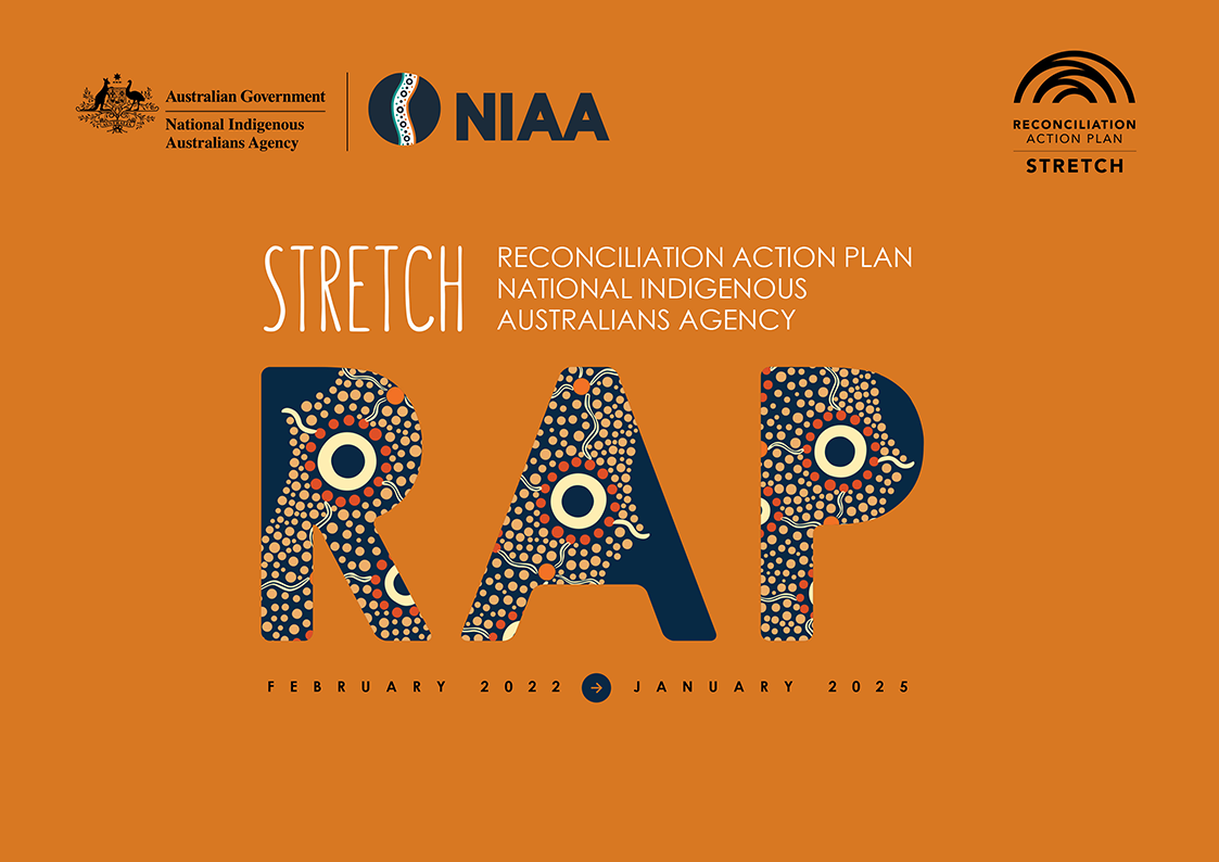 Cover of NIAA Stretch RAP 2022-2025