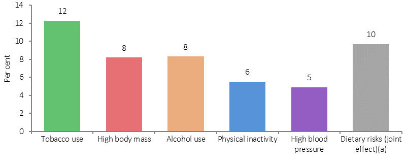 Figure 32 shows the proportion of Indigenous burden of disease attributable to leading risk factors in 2011. The risk factors causing the most Indigenous burden were tobacco use (12% of the total burden), alcohol use (8%), high body mass (8%), physical inactivity (6%), high blood pressure (5%) and high blood plasma glucose (5%). Dietary factors (the joint effect of 13 dietary risk factors) together accounted for 10% of the total burden.