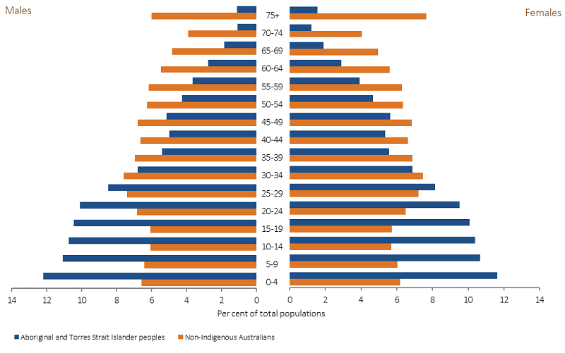 Dodge Dødelig friktion 2017 HPF Report - Overview: Demographic context