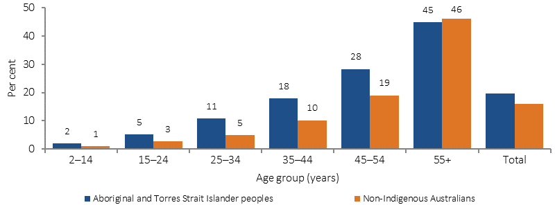 Figure 1.05-2 shows the proportion of persons (2 years and over) reporting heart and circulatory disease for the period 2012-13, by Indigenous status and age. Data are presented for Aboriginal and Torres Strait Islander peoples and non-Indigenous Australians. The age groups presented are: 2-14 years; 15-24 years; 25-34 years; 35-44 years; 45-54 years; and 55 years and over. Reporting of heart and circulatory disease increased with age and 23% of those aged 25 years and over reported the condition. After adjusting for differences in the age structure of the two populations, Indigenous Australians were 1.2 times as likely to report having circulatory disease as non-Indigenous Australians. Circulatory diseases commenced at younger ages for Indigenous Australians. The greatest disparities were in the 25–54 year age groups.