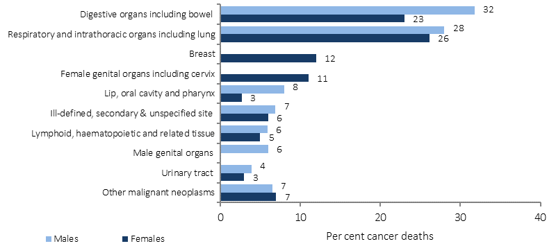 Figure 1.08-1 shows the proportion of deaths of Aboriginal and Torres Strait Islander peoples from cancer in 2011-15, by type of cancer and sex. Data are combined from five jurisdictions: NSW, Queensland, WA, SA and NT. Over this period, cancers of the digestive organs (including bowel) and respiratory organs (including lung) were the most common causes of cancer death among Indigenous Australians (28% and 27% respectively). 
