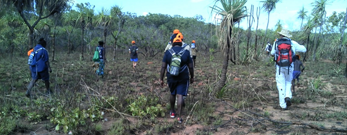 Indigenous people walking through the bush, photo taken from behind