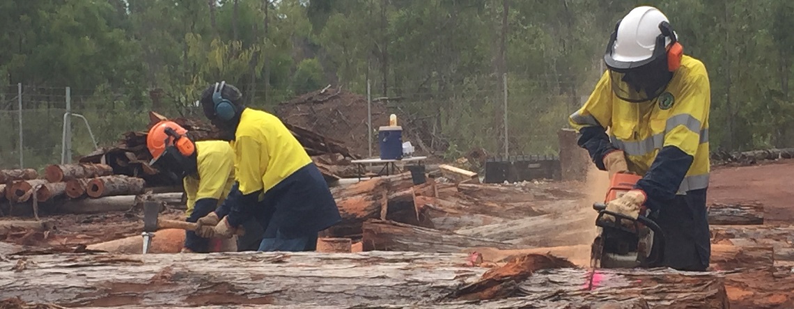 Timber workers in safety clothing cutting timber