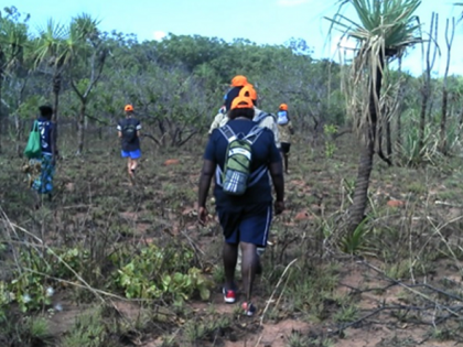 Indigenous people walking through the bush, photo taken from behind