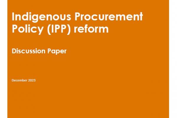 Indigenous Procurement Policy (IPP) reform discussion paper