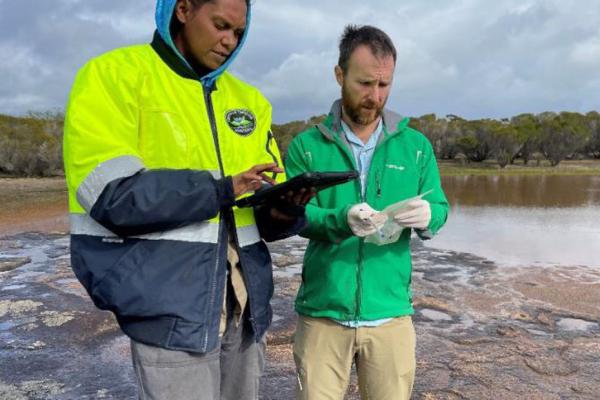 Caption: Tjaltjraak Healthy Country Team leader Hayleigh Graham recording eDNA sample data on the field data device and database. Photo: David Guilfoyle 2023.