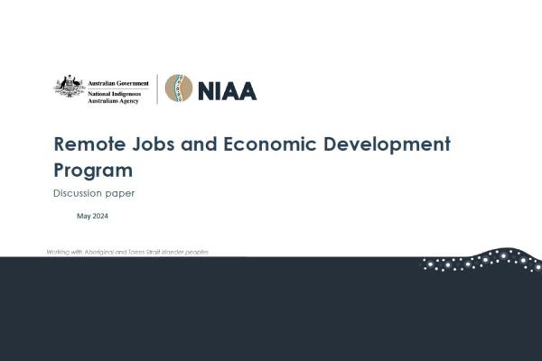 Remote Jobs and Economic Development Program Discussion Paper