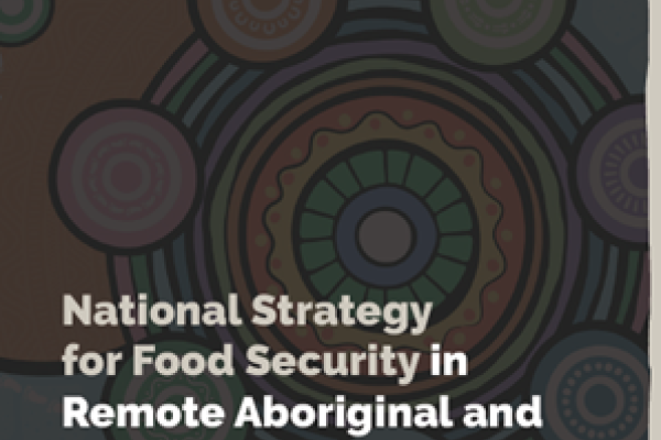 Cover of National Strategy for Food Security in Remote First Nations Communities
