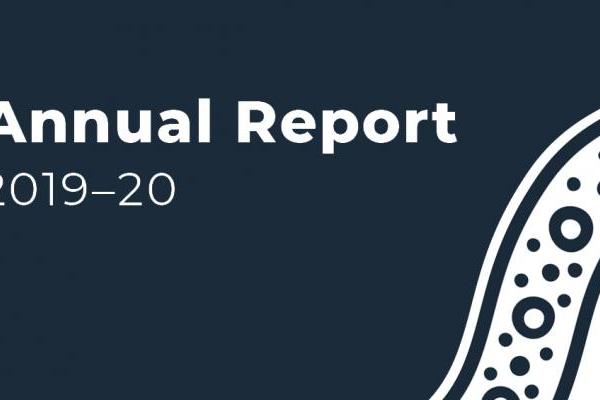 NIAA Annual Report 2019-20