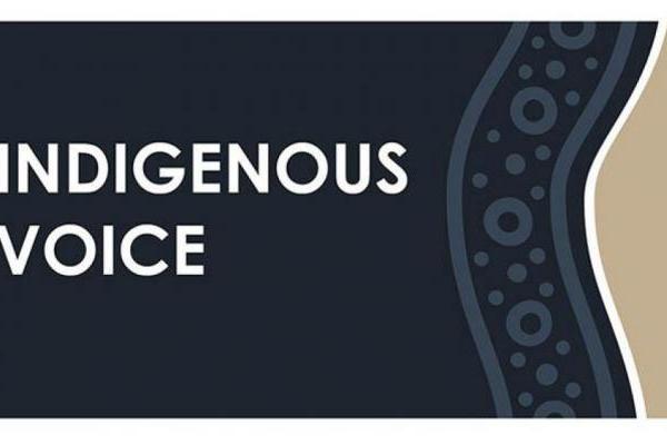 Indigenous Voice