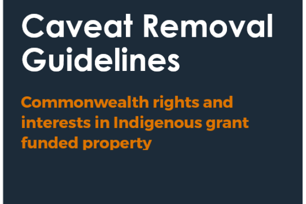 Caveat Removal Guidelines