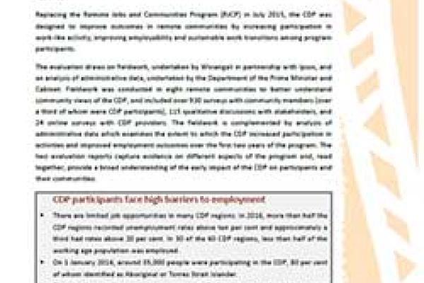 An evaluation of the first two years of the Community Development Programme - Summary