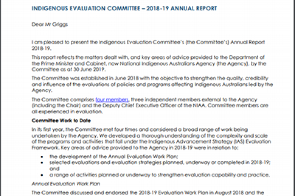 IEC Annual Report 2018-19