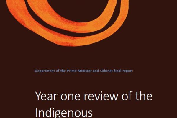 Year one review of the Indigenous Procurement Policy