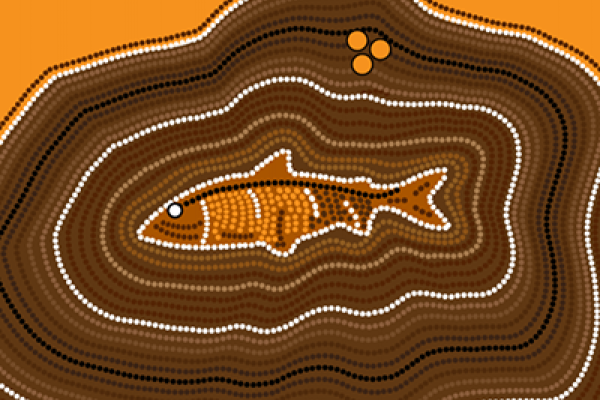 Fee for Service in Indigenous Land and Sea Management: Impact Assessment and Analysis