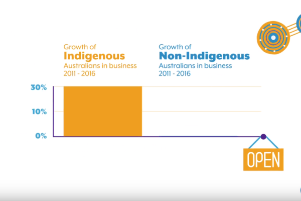 Indigenous Business Strategy