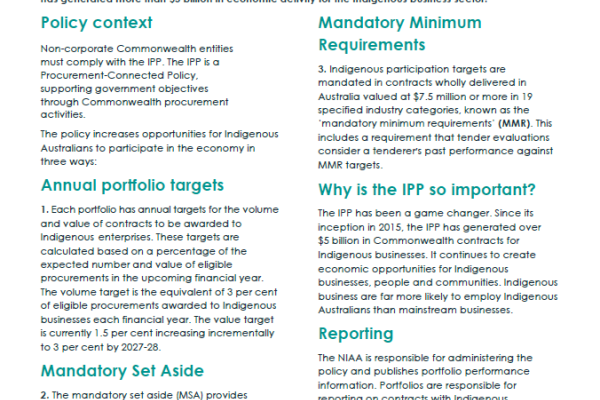 IPP Overview Factsheet
