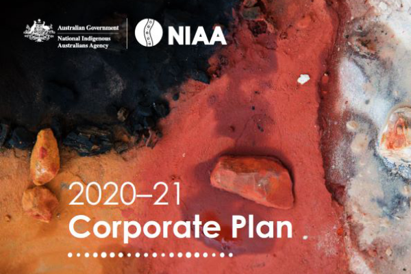 NIAA Corporate Plan 2020-21