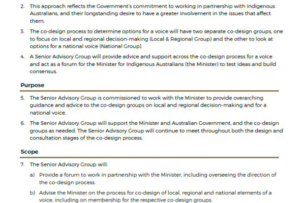 Terms of Reference Senior Advisory Group