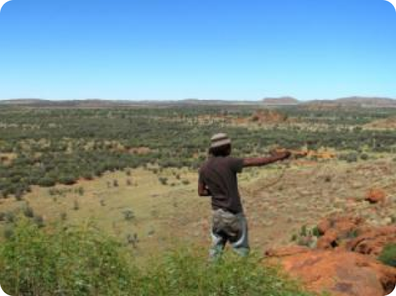Warru Kaninytjaku APY ranger monitoring land