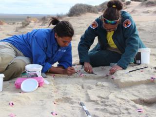 Hearth excavation at Mungo National Park. Photo: © Leanne Mitchell