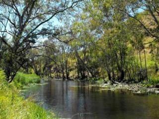 Framlingham Forest. Photo: © Framlingham Aboriginal Trust