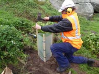 Planting shrubs on the island. Photo © Tasmanian Aboriginal Corporation