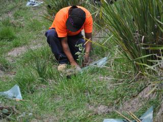 Ranger planting tree. Photo © Banbai Business Enterprises Inc
