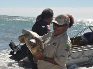 Girringun Ranger with a turtle. Photo: © Girringun Aboriginal Corporation