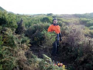 Controlling gorse at Preminghana. Photo © Tasmanian Aboriginal Corporation