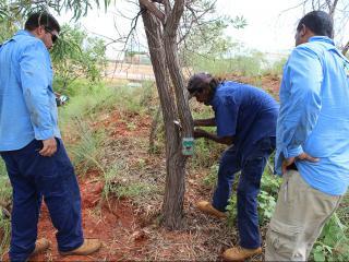 Yawuru Country Managers. Photo: © Nyamba Buru Yawuru Ltd