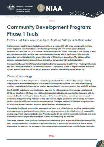 Synthesis of Early Learnings from Trial Pathways to Real Jobs
