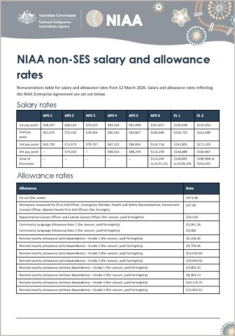 Non-SES salary and allowance rates