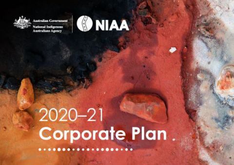 NIAA Corporate Plan 2020-21