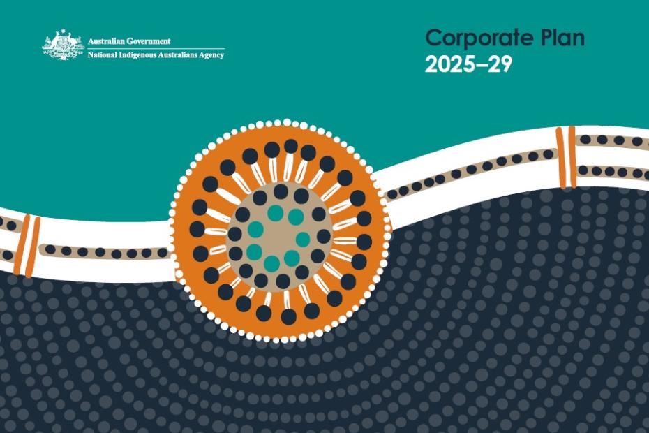 NIAA Corporate Plan 2025-29 cover