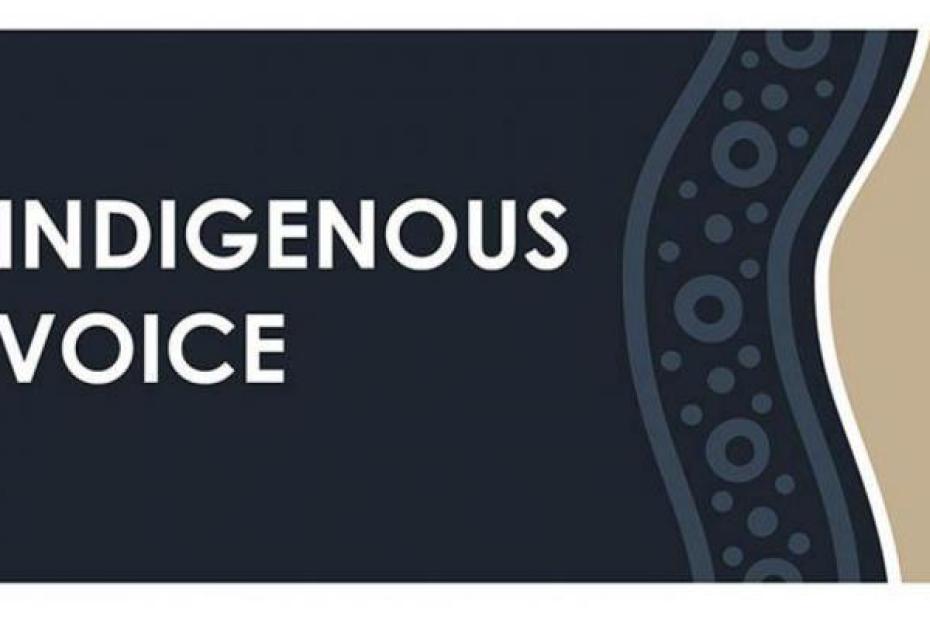 Indigenous Voice